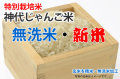 新米・無洗米・神代じゃんご米