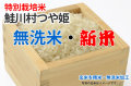 無洗米・新米鮭川村つや姫