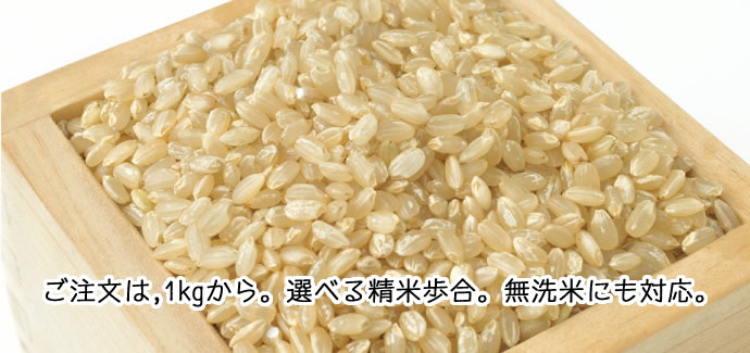 ご注文は1キロから。