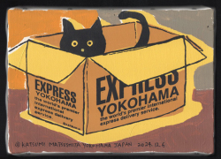 原画作品：ダンボールキャット［松下カツミ/20241206］