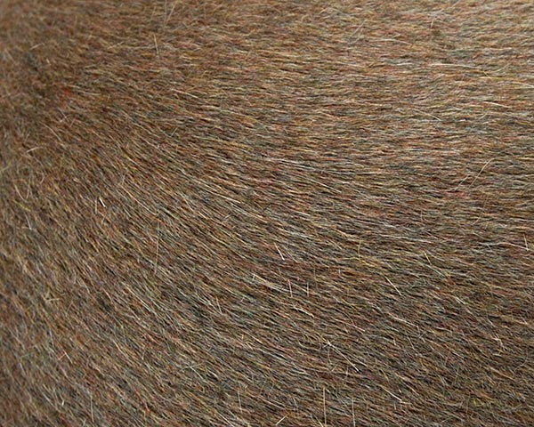 NINE TAILOR(ナインテイラー) ファーフエルトハット SETA HAT