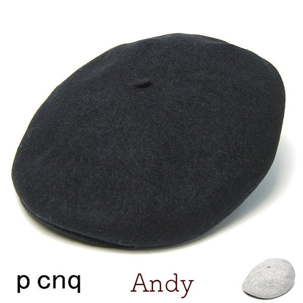ウールハンチング　PCNQ　パークニック　ANDY　ベレー帽