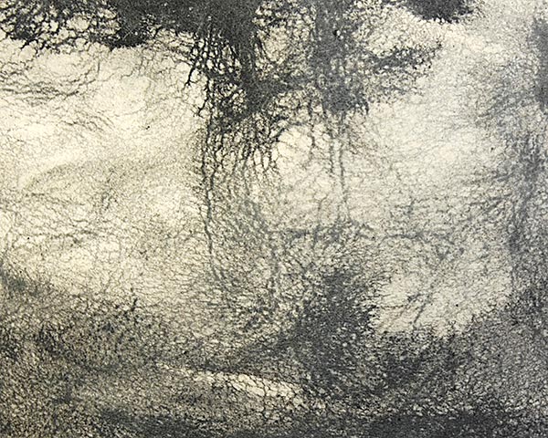 REINHARD PLANK レナードプランク フェルト中折れ帽（LOUIS)