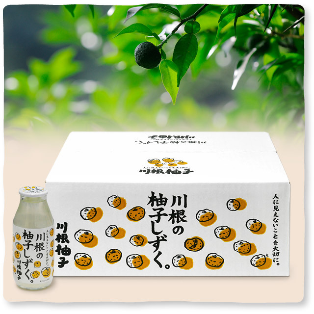 川根の柚子しずく（1箱 180ml×24本入）【お中元】