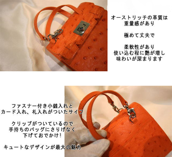 オーストリッチミニバッグ 10107