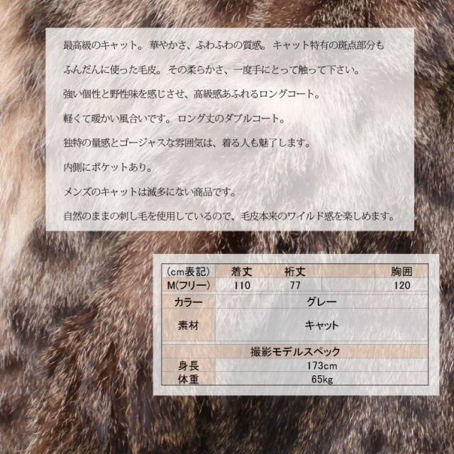 ビアンカズクローゼット　ミンク100% ファー　コート　サイズ1 SAGA MINK(サガミンク) / ミンクコート/42/ファーコート