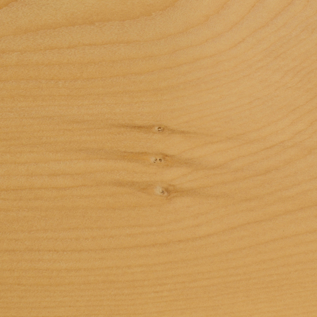 【訳あり】業務用本榧まな板（56×28×4cm） ki90146