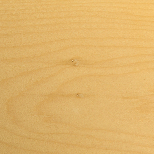 【訳あり】業務用本榧まな板（56×28×4cm） ki90147
