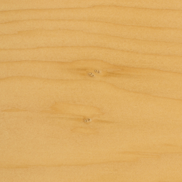 【訳あり】業務用本榧まな板（56×28×4cm） ki90147