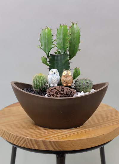 アニマルガーデン 観葉植物ギフト フクロウと樹脂ポットda53jbr