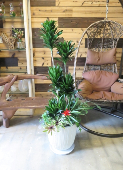 0667観葉植物ギフト　コンパクターの豪華なアイボリー樹脂鉢【大型商品】