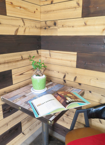 0683【観葉倶楽部の風水プランツ】　風水ガジュマル　健康運UPのグリーン鉢