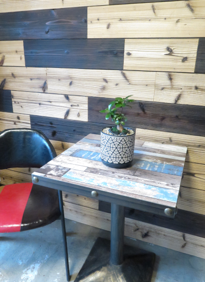 0710観葉植物ギフト　ガジュマル　SNOW(黒)