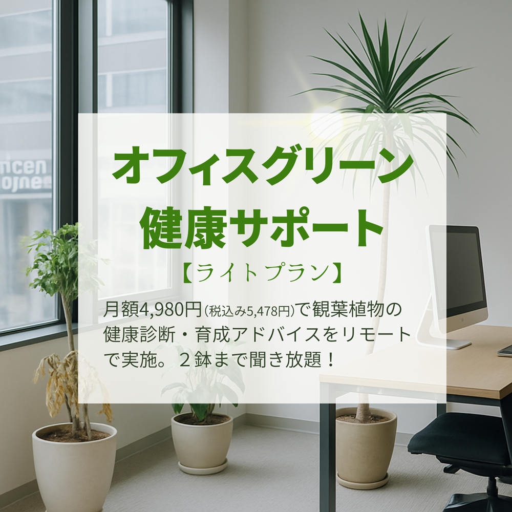 0761オフィスグリーンもプロにおまかせ！オンラインで植物の健康をサポート【ライトプラン】月額4,980円（税込み5,478円）