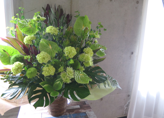 0769大人女子のフラワーギフト【観葉倶楽部グリーンブーケ】美容室、クリニック、エステ、カフェの開店祝いにおすすめ33,000円コース