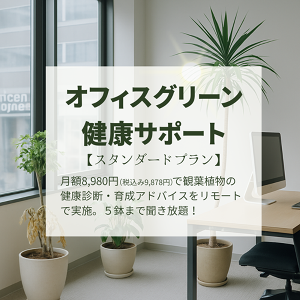 0762オフィスグリーンもプロにおまかせ！オンラインで植物の健康をサポート【スタンダードプラン】月額8,980円（税込み9,878円）