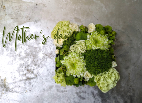 25md04【母の日フラワーギフト】サンクスマザーカーネーション（グリーンスクエア）