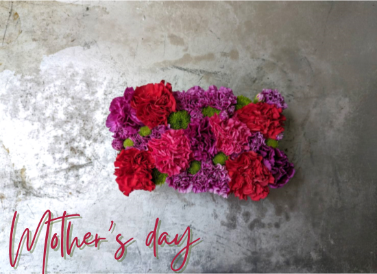 【母の日フラワーギフト】サンクスマザーカーネーション25md06【ローザ】（レクタングル）