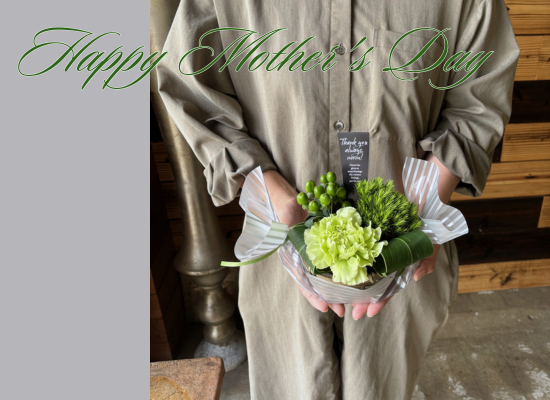 【母の日フラワーギフト】グリーンのお花が好きなお母さんへ26md02【グリーンブーケプチ】