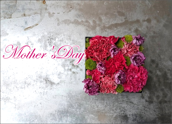 25md02【母の日フラワーギフト】サンクスマザーカーネーション（スクエア）