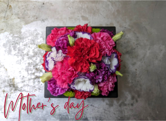 【母の日フラワーギフト】サンクスマザーカーネーション25md05【ローザ】（ハット）