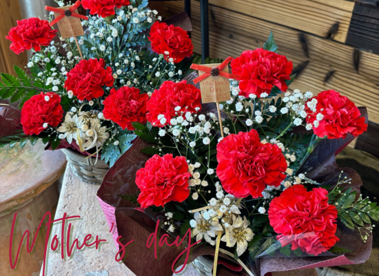 【母の日フラワーギフト】サンクスマザーカーネーション25md07カーネーション赤6