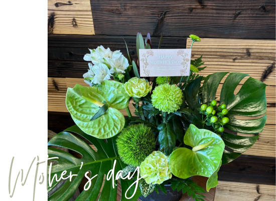 【母の日フラワーギフト】グリーンのお花が好きなお母さんへ25md08【グリーンブーケ】