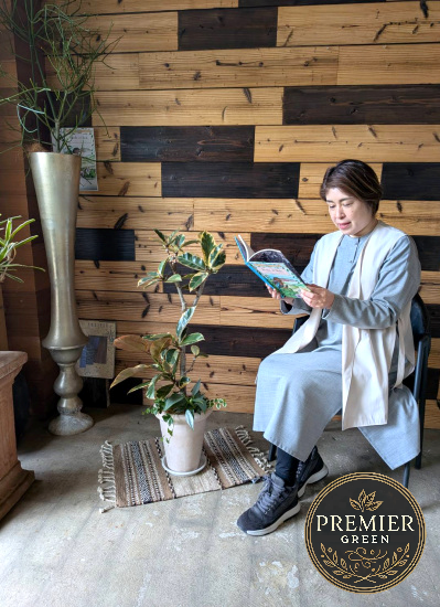 0795観葉植物ギフトこだわりの1点もの【プレミアグリーン】フィカスティネケ ナチュラル鉢