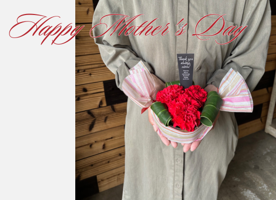 【母の日フラワーギフト】サンクスマザーカーネーション26md01カーネーション赤3