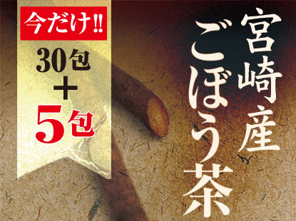 5包増量★ごぼう茶30包入り