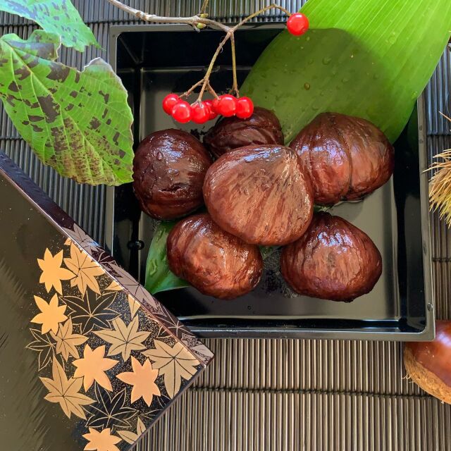 日本の美しい四季を楽しむお重箱