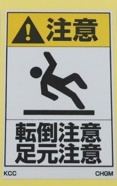 CHGM