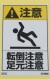 CHGM