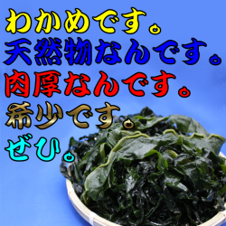 岩手　天然　わかめ