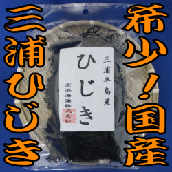 三浦ひじき
