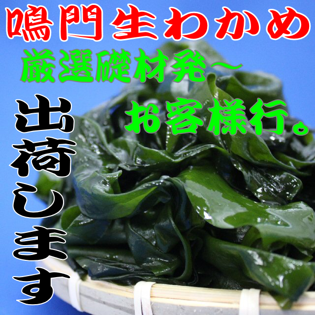 鳴門わかめ】しっかりした食感にリピート続出！ インターネット