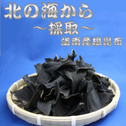 道南産　函館　根昆布
