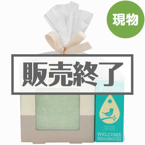 ＜販売終了＞生活の木 アロマストーン＆エッセンシャルオイル【現物】