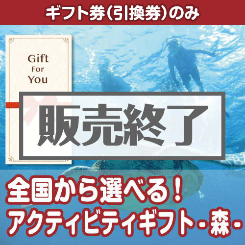 ＜販売終了＞【ギフト券】全国から選べる！アクティビティギフト-空-（目録のみ）