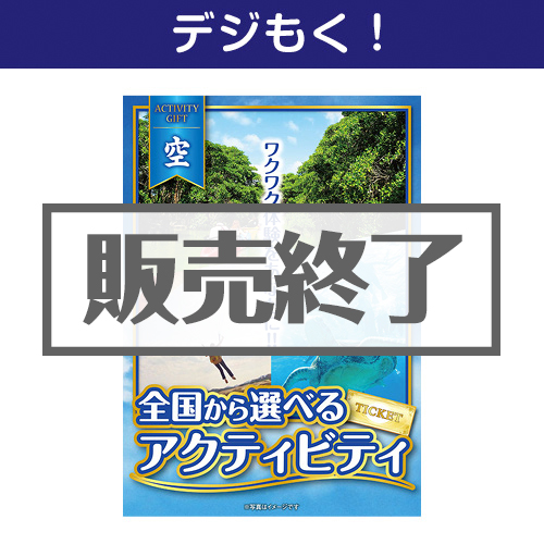 ＜販売終了＞【デジもく！】全国から選べる！アクティビティギフト-空-（パネル・目録無し）