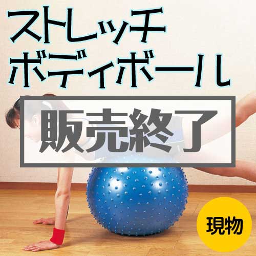 ＜販売終了＞ストレッチボディボール【現物】