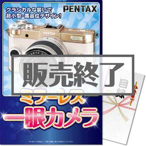 ＜販売終了＞【パネもく！】ミラーレス一眼カメラ（A3パネル付）[当日出荷可]