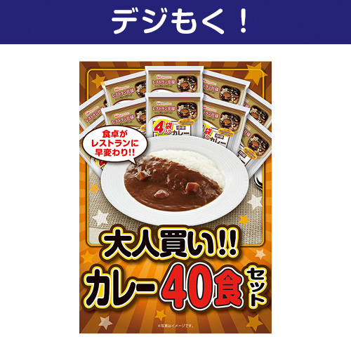 【デジもく！】大人買い！カレー40食セット（パネル・目録無し）