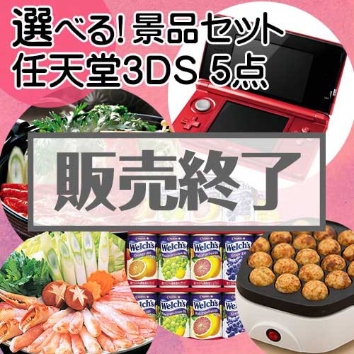 ＜販売終了＞＜内容が選べる景品5点セット＞/ntd3ds-a3 目玉：任天堂3DS[送料無料・全品目録パネル付・当日出荷可]