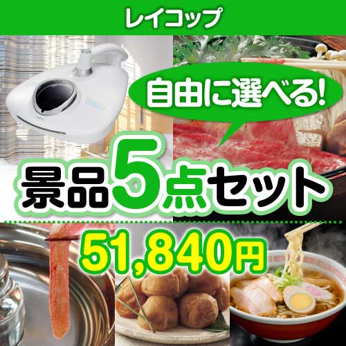 ＜販売終了＞＜内容が選べる景品5点セット＞/rcp-rn-a3 目玉：レイコップ[送料無料・全品目録パネル付・当日出荷可]