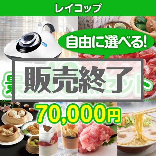 ＜販売終了＞＜内容が選べる景品10点セット＞/rcp-lite-a3 目玉：レイコップ[送料無料・全品目録パネル付・当日出荷可]