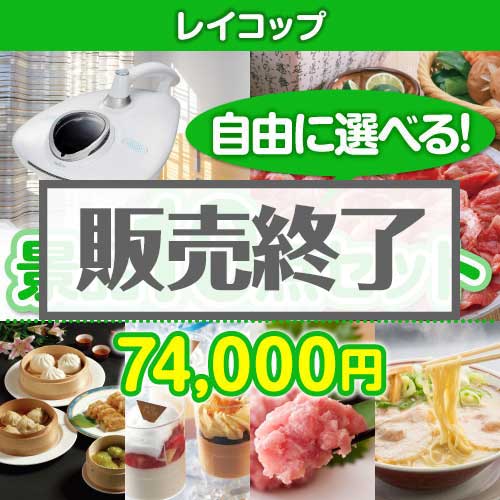 ＜販売終了＞＜内容が選べる景品10点セット＞/rcp-rn-a3 目玉：レイコップ[送料無料・全品目録パネル付・当日出荷可]