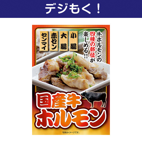 【デジもく！】国産牛ホルモン（パネル・目録無し）