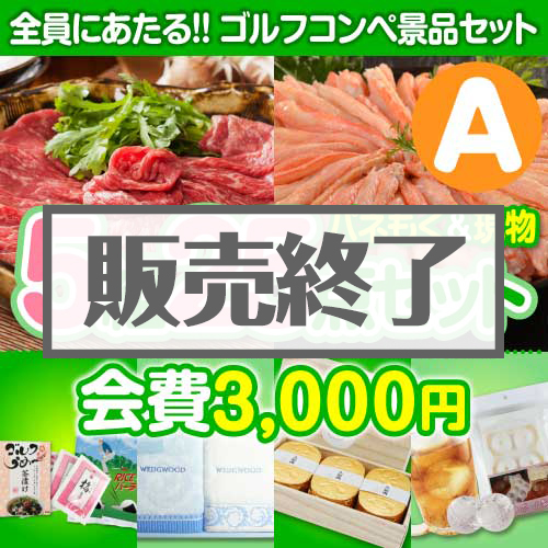 ＜販売終了＞【ゴルフコンペ賞品25点セット】5組20名様：会費3,000円（全員に当たる！）Aコース