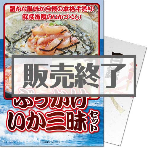 ＜販売終了＞【パネもく！】ぶっかけいか三昧セット（A4パネル付）[当日出荷可]